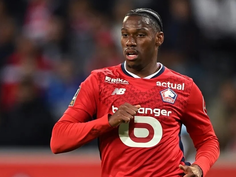 的优异表现 的优异表现